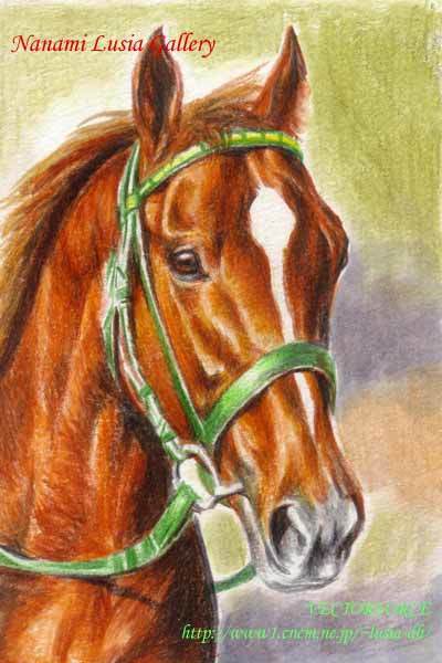 最も共有された リアル 簡単 馬 イラスト 美しい芸術