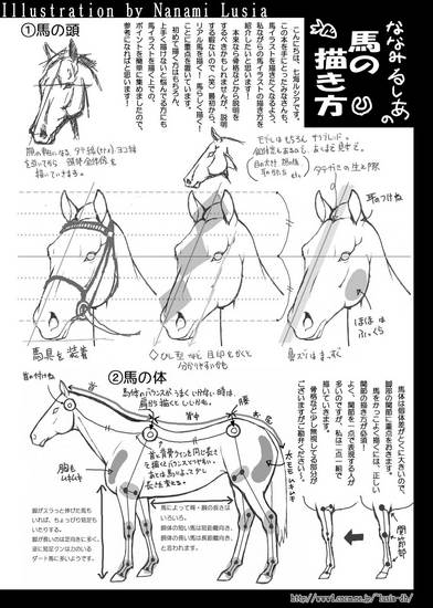 馬の描き方その1A簡易版