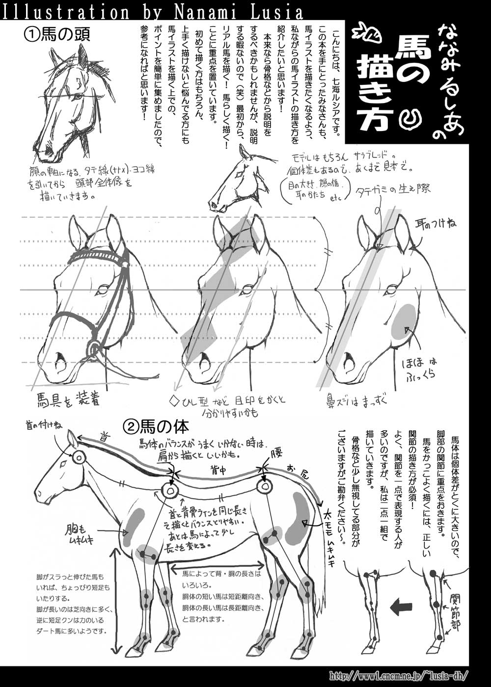 馬のイラスト 馬の描き方 簡易版 その１ 七海ルシアのイラストギャラリー